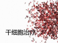 干細(xì)胞在男性性功能障礙治療中的應(yīng)用