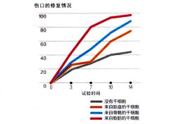 “脂肪干細(xì)胞”讓身體和肌膚返老還童