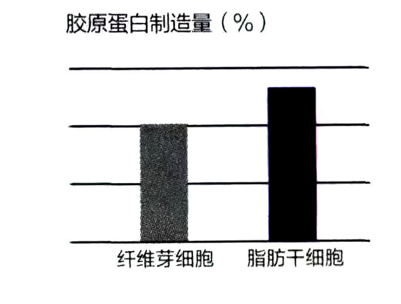 脂肪干細胞擁有和纖維芽細胞同等的膠原蛋白制造能力