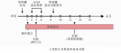 胎盤造血干細胞來源與特性